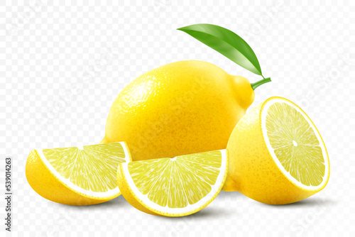 Fresh lemon isolated on transparent background. A whole lemon, half and slice a lemon. Realistic 3d vector illustration. Fully editable handmade mesh.