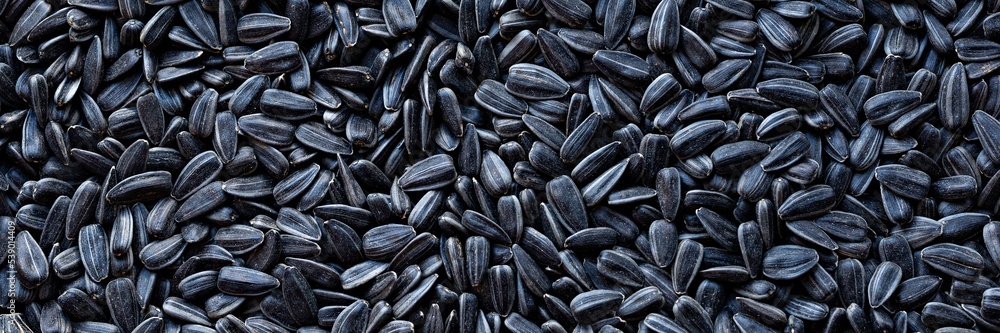 Background in organic sunflower seeds, vegetable fats. Background in organic sunflower seeds, vegetable fats.