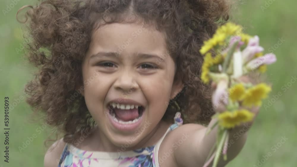 Little Girl Picking Fresh Daisy Flowers In The Garden Little Girl Picking Fresh Daisy Flowers In The Garden