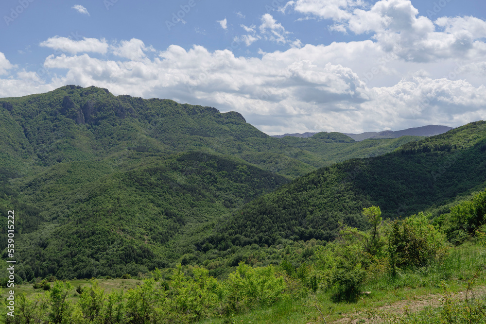 Naklejka premium Landscape,Mountains,Bulgaria,green and relax