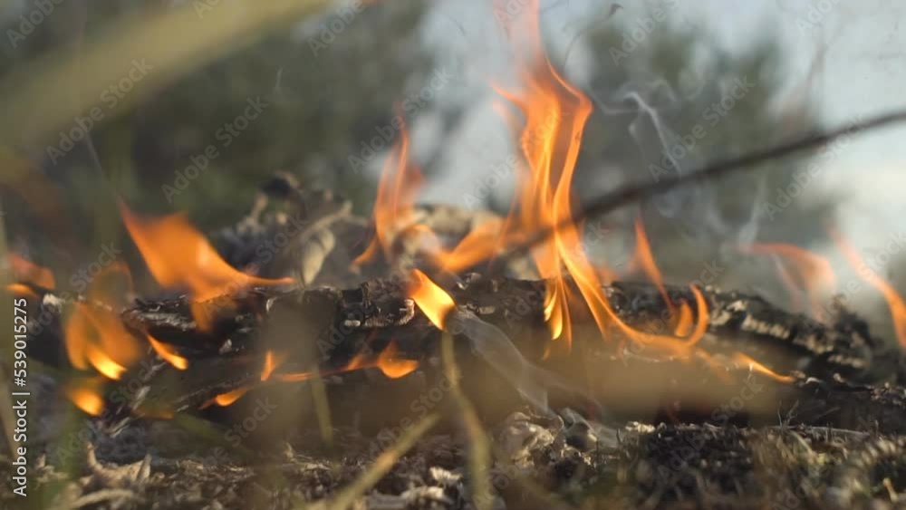 a fire is burning in the meadow a fire is burning in the meadow