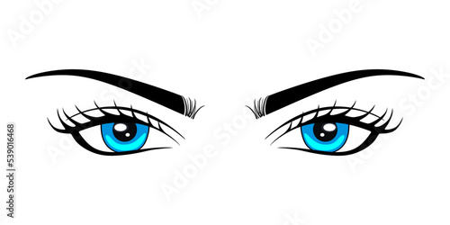 Blue luxurious female eye with eyebrows and lush eyelashes. Business card idea, vector typography. Perfect womans eyes on white background. vector 