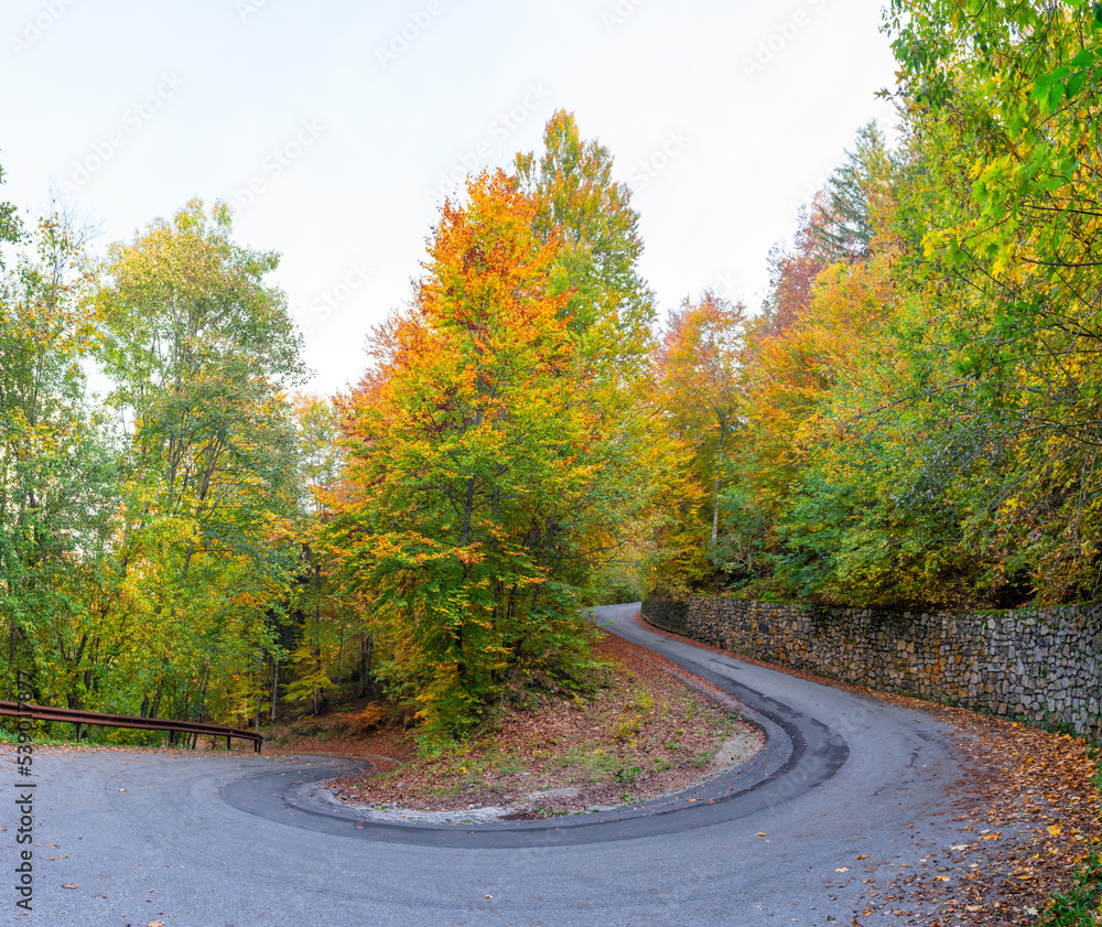 Mountain road in the autumn