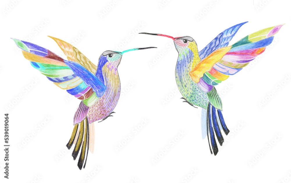 Obraz premium Small motley bird sits, color graphics in watercolor and black ink, isolated on a white backgound