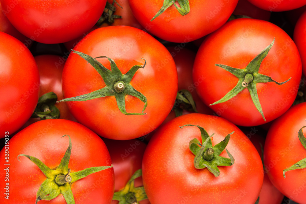 Full frame background pattern of fresh tomatoes, close up, high angle view Full frame background pattern of fresh tomatoes, close up, high angle view