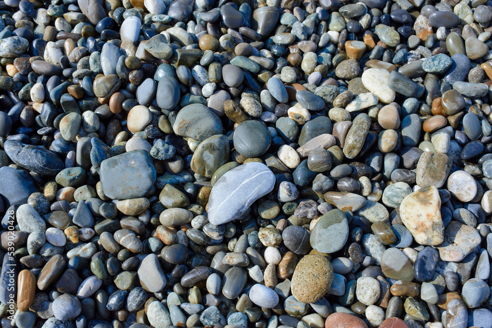 Smooth pebble stone in sunlight. The texture of the pebble beach. Smooth pebble stone in sunlight. The texture of the pebble beach.