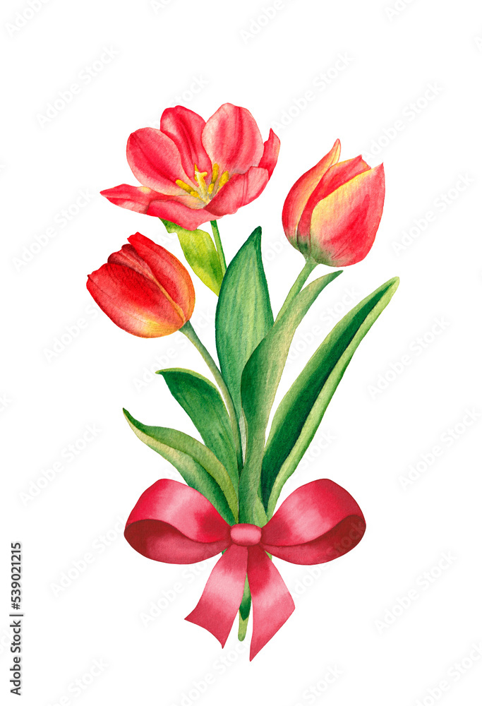 Tulips bouquet. Watercolor illustration, isolated on white background. For decoration and design of printing, cards, fabrics, textiles, holidays, paper and scrapbook. Tulips bouquet. Watercolor illustration, isolated on white background. For decoration and design of printing, cards, fabrics, textiles, holidays, paper and scrapbook.