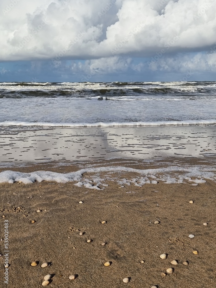 Strand Impression Strand Impression