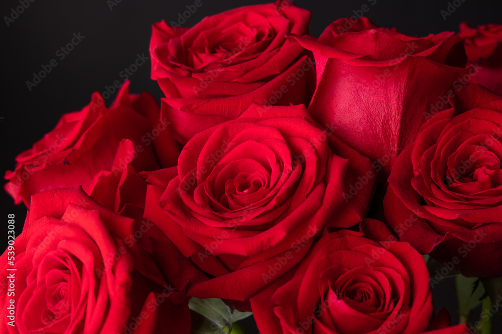 The red roses for the Valentine The red roses for the Valentine