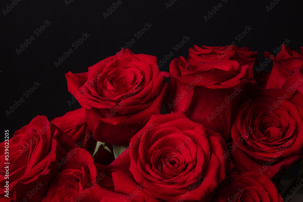 The red roses for the Valentine The red roses for the Valentine