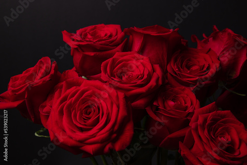 Wallpaper Mural The red roses for the Valentine  Torontodigital.ca