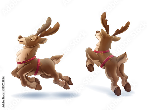 set of reindeer for christmas composition