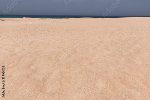 beach sand dunes near the sea. sand backgrounds and textures