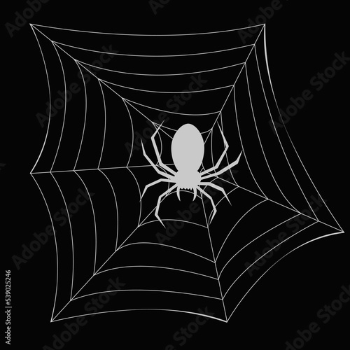 spider waiting for its prey