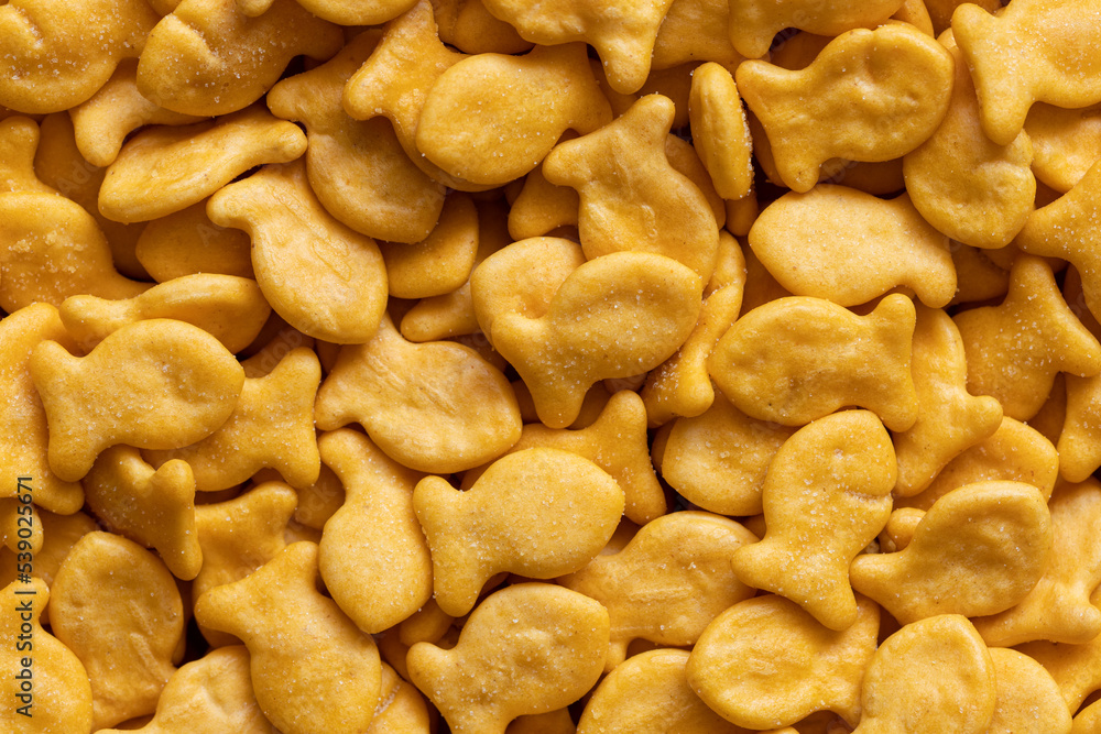 Goldfish cookies background. Top view of fish-shaped salted crackers. Small biscuits. Goldfish cookies background. Top view of fish-shaped salted crackers. Small biscuits.