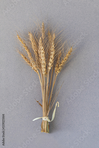 Vertical image of barley ears tied in a bundle