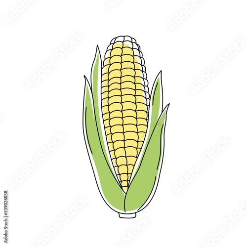 Doodle outline ear of corn with spot. Vector hand-drawn illustration for packing isolated on transparent background