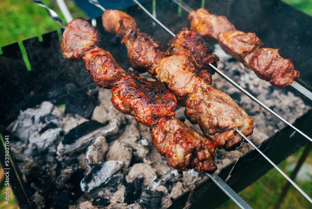 meat on charcoal shish kebab grill, close view meat on charcoal shish kebab grill, close view