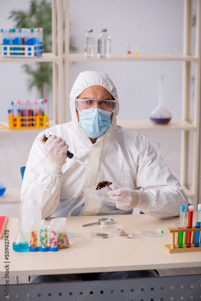 Young male chemist zoologist working at the lab during pandemic Young male chemist zoologist working at the lab during pandemic