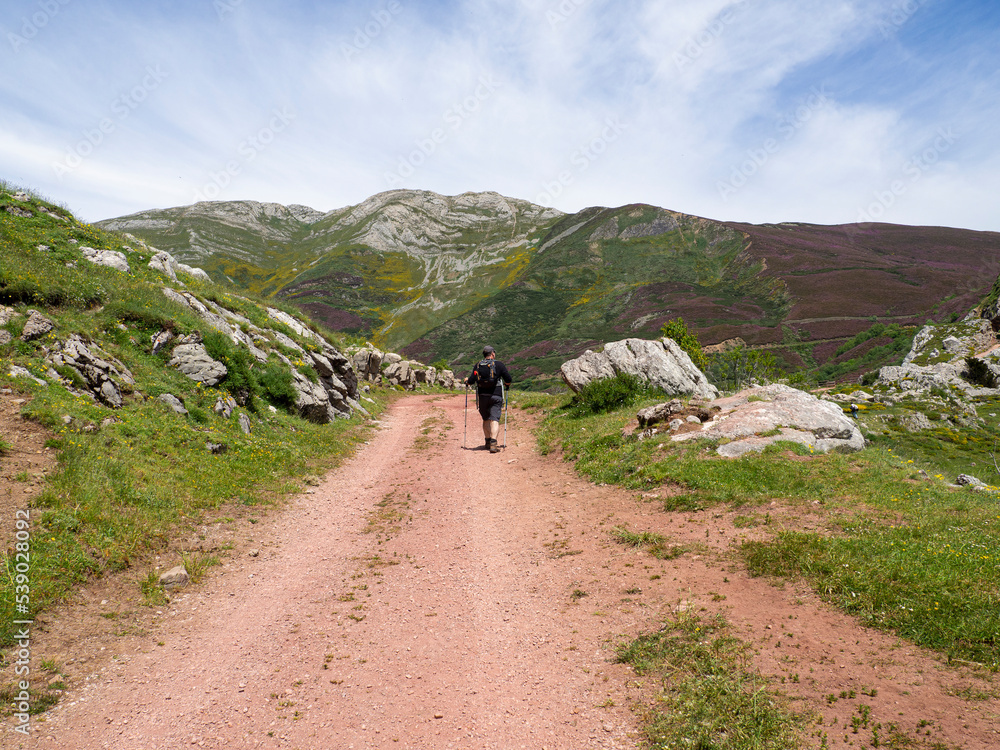 Vistas del paisaje asturiano del Lago de La Cueva por un sendero rodeado de naturaleza, montañas verdes, flores moradas cielo azul y nubes blancas en verano de 2021, España.
