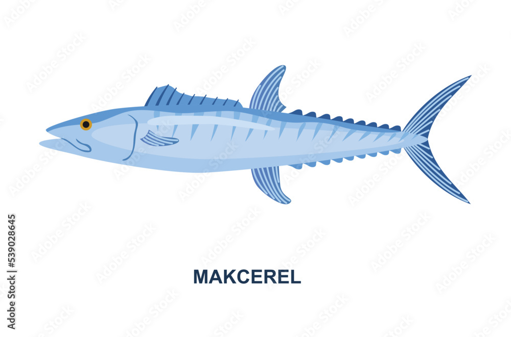 River or sea fish. Sticker with mackerel. Marine animal with striped body and fins. Edible seafood. Design element for online supermarket. Cartoon flat vector illustration isolated on white background River or sea fish. Sticker with mackerel. Marine animal with striped body and fins. Edible seafood. Design element for online supermarket. Cartoon flat vector illustration isolated on white background