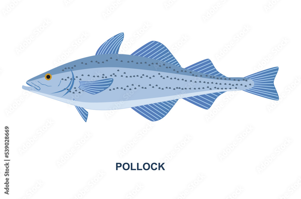 River or sea fish. Fishing and catching delicious seafood. Blue pollock with spots on scales. Design element for cafe or restaurant menu. Cartoon flat vector illustration isolated on white background