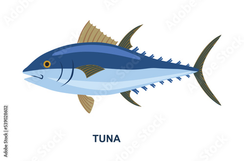 River or sea fish. Poster with blue edible seafood. Sticker with delicious fresh tuna or mackerel. Design element for infographics. Cartoon flat vector illustration isolated on white background