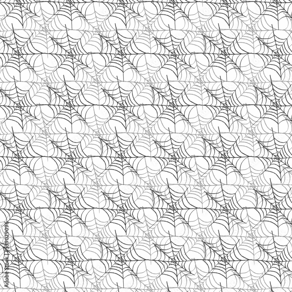 spider web drawing on white background as a pattern