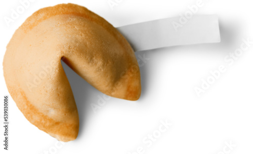 Fortune Cookie with Blank Piece of Paper