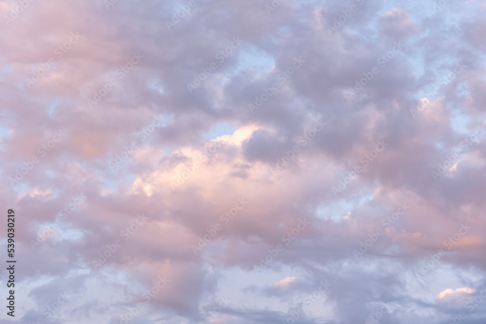 Obraz premium pink and purple dusk clouds in the sky