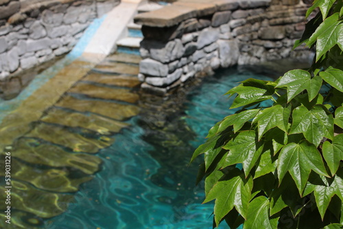 A branch with fresh green leaves on the background of an ancient stone pool with water