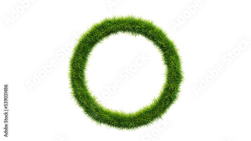 Grass round frame, copy space. Grass frame isolated on a white background. Transparent background, PNG file