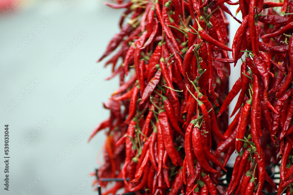 Naklejka premium Autumn in Italy, Calabria