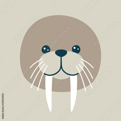 Vector illustration of a cute muzzle of a walrus