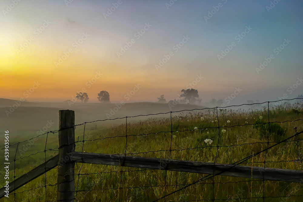 A Misty, Summer Morning in Erin, Ontario