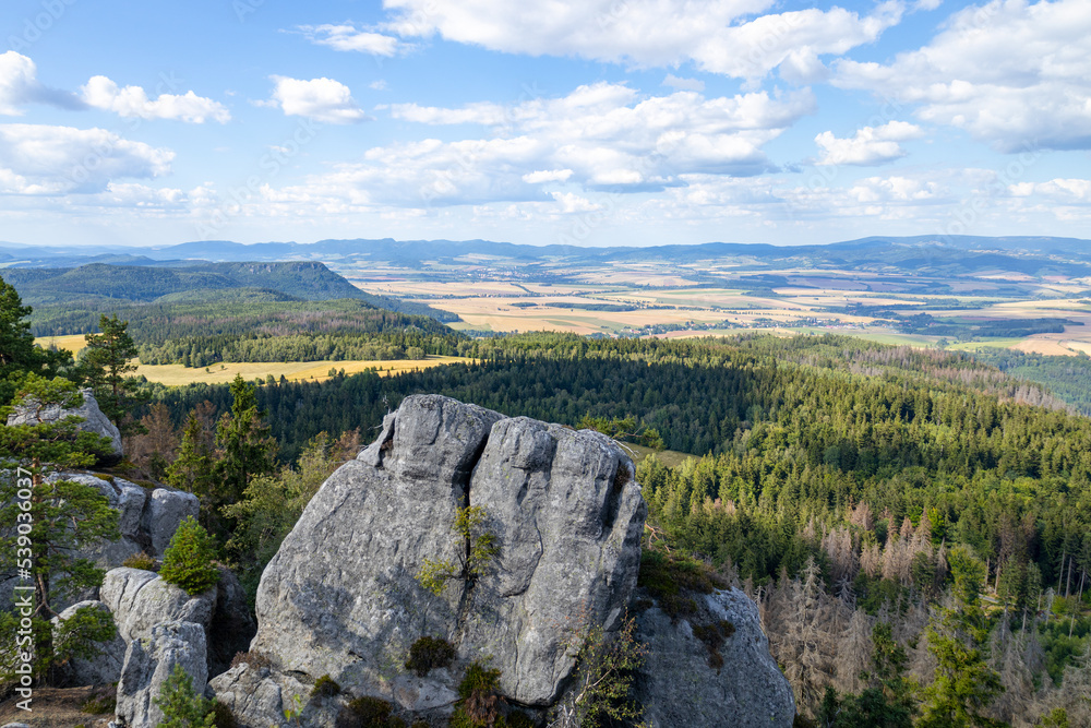 Rocks covered with trees, landscape high in the mountains