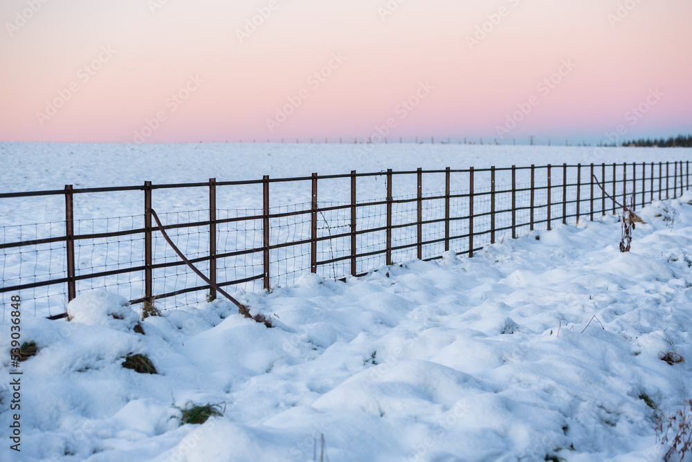 A fence under a red sky during sunset in a Winter day in the Pentland Hills Regional Park in Edinburgh, Scotland, UK, with the ground covered in snow