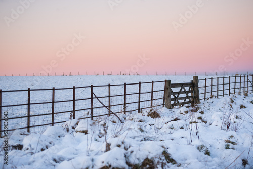 View of a gate and a fence under a red sky during sunset in a Winter day in the Pentland Hills Regional Park in Edinburgh, Scotland, UK, with the ground covered in snow © CarlosGLopez