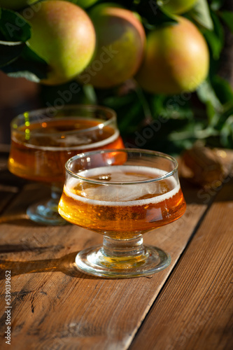 Making and tasting of fresh apple cider produced on organic farm from bio apples in Normandy, France
