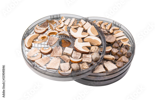 Mushroom dryer with small pieces of mushrooms in a plastic form of the dryer, isolated on white background. electric dryer for mushrooms. photo