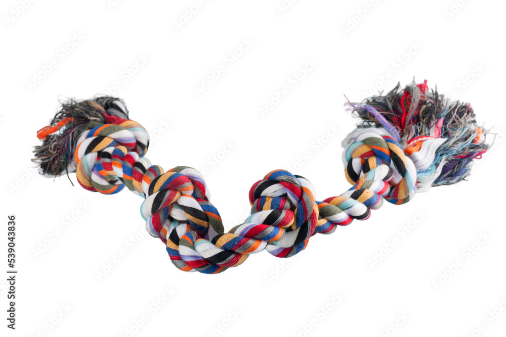 Rope dog toy dog rope animal toy knot dog toy - obrazy, fototapety, plakaty 