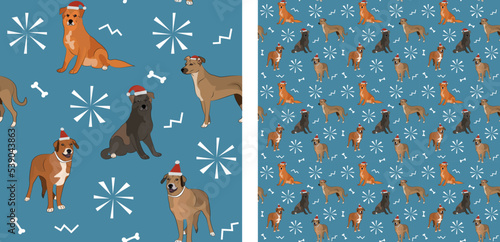 Seamless dog pattern, winter Christmas texture. Square format, t-shirt, poster, packaging, textile, socks, textile, fabric, decoration, wrapping paper. Trendy hand-drawn mongrel dogs, mutt breed.