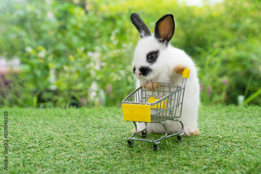 Adorable baby rabbit furry bunny pushing empty yellow shopping basket ...