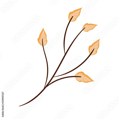 fall autumn branch