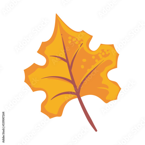 fall leaf design