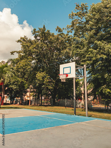 Simple street urban basketball court portrait from 