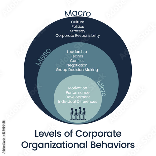 Levels of Corporate Organizational Behaviors vector illustration graphic photo