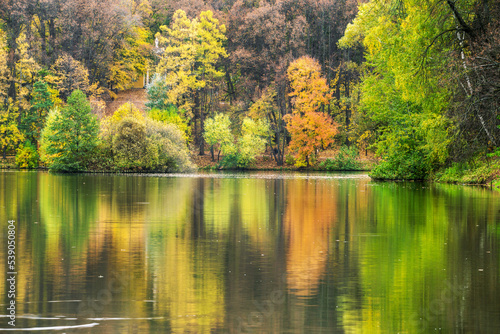Amazing Autumn backgrounds of reflections of aututm leaf color - yellow, orange leaves in water of pond in city public park and ducks (blurred from motion) in pond swimming