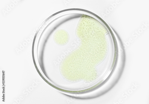 Petri dish with sample on white background, top view
