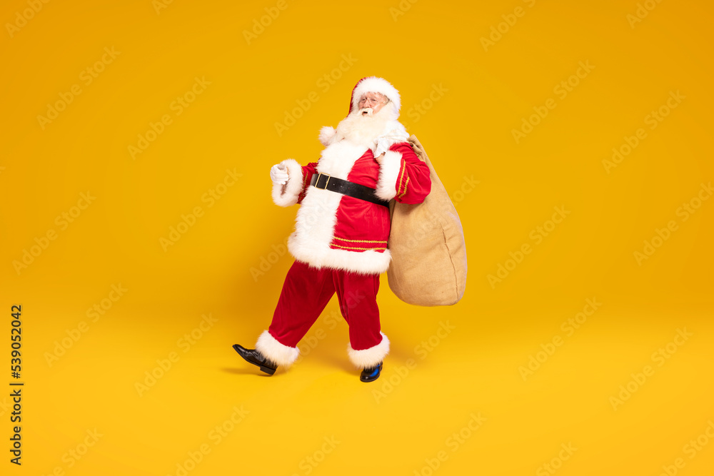 Merry Christmas and a happy new year ! Real Santa Claus carrying heavy sack with gifts, standing on yellow studio background . Xmas time.